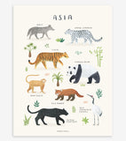 LIVING EARTH - Plakat for barn - Asiatiske dyr