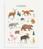 LEVENDE JORD - Plakat for barn - Dyr i Europa