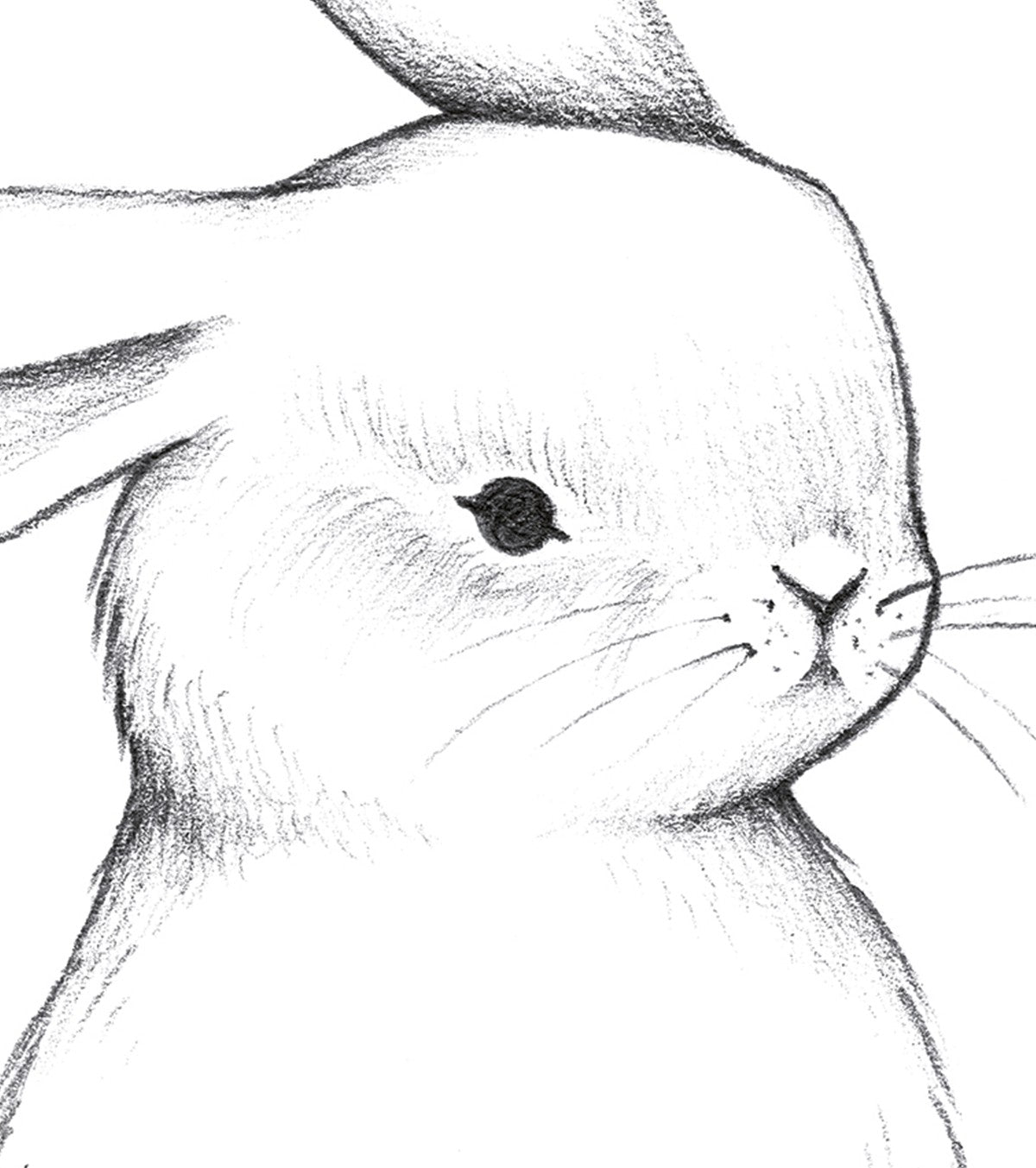 BUNNY - Barneplakat - Kanin med ansikt på