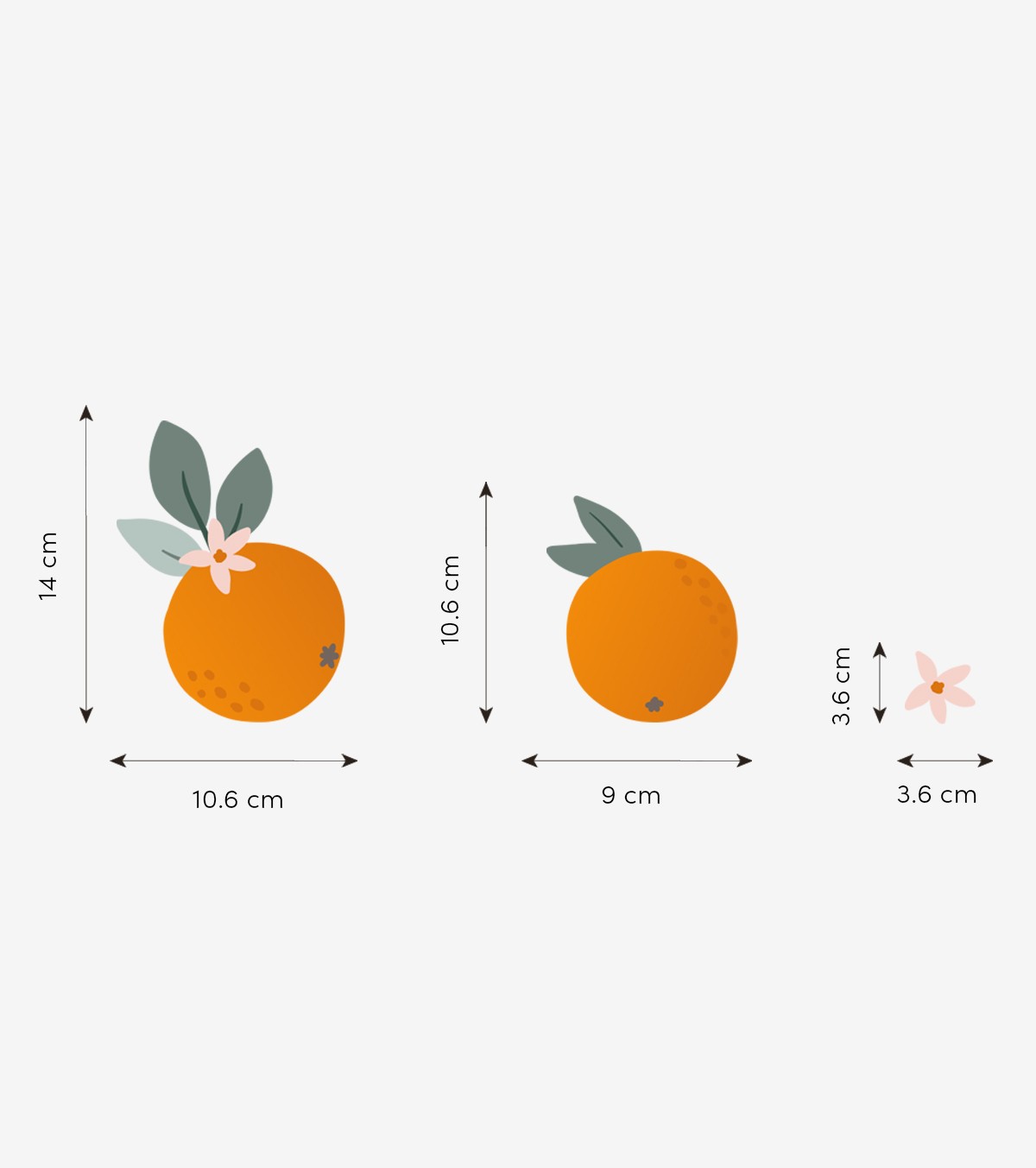 LOUISE - Veggklistremerker - Appelsiner